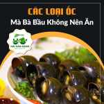 Các loại ốc mà bà bầu không nên ăn