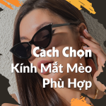 Cách Chọn Kính Mắt Mèo Phù Hợp