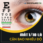 Mắt 1/10 Là Cận Bao Nhiêu Độ